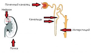 darbiba_RU